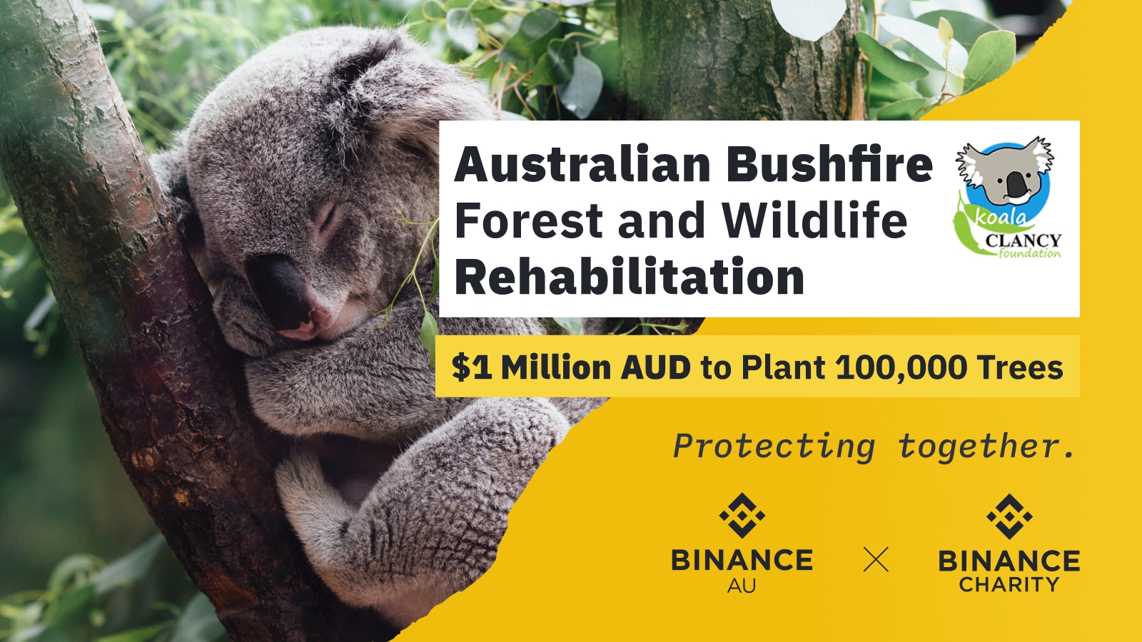 Binance Charity Australia Tree Token Koala