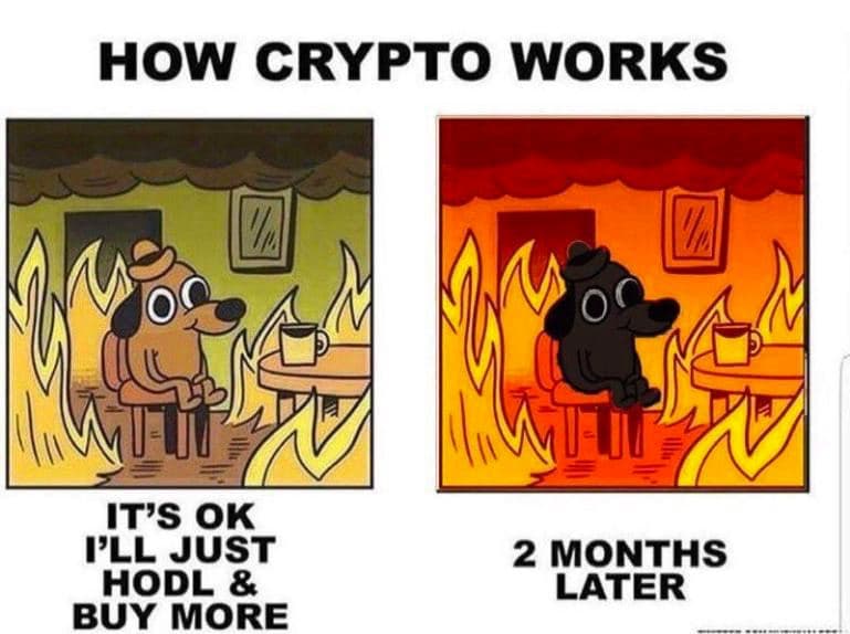 Crypto Memes Of The Week - 14 May - Crypto News AU