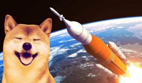 Shiba Inu Coin Surges 500% Amid Shiboshi’s NFTs Launch and Exchange Listings