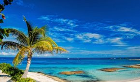 Crypto Investors Are Creating a DAO to Buy a Caribbean Island