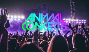Music Concerts in the Metaverse: the New Wave of Adoption?
