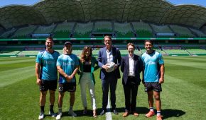 NRL Melbourne Storm Announced a Partnership with Cointree Crypto Exchange