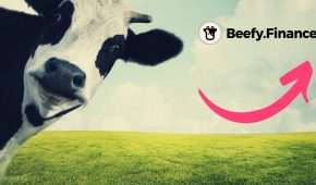 Beefy Finance Token (BIFI) Spikes 168% Overnight, Benefits From Terra Collapse