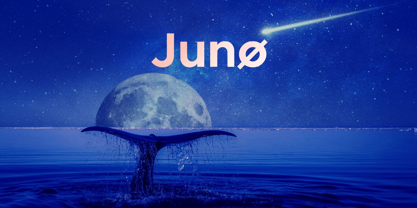 Typo Sees $36 Million in Seized Whale JUNO Tokens Sent to Wrong Wallet