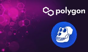 ApeCoin Integrates with Polygon After NFT Mint Disaster