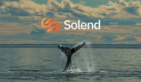 Solana DeFi Protocol Votes to Liquidate Whale’s Account to Protect the Network
